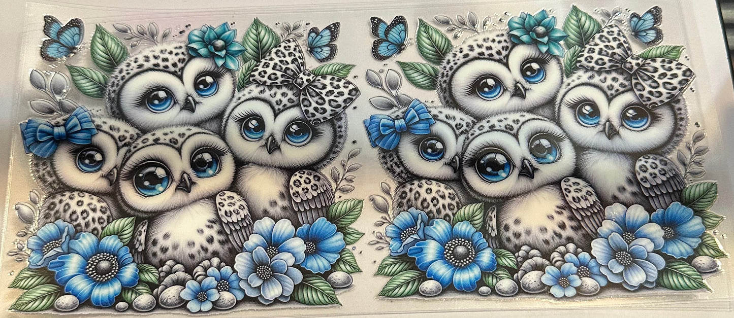 16oz Butterfly Floral Owls Cup Wrap