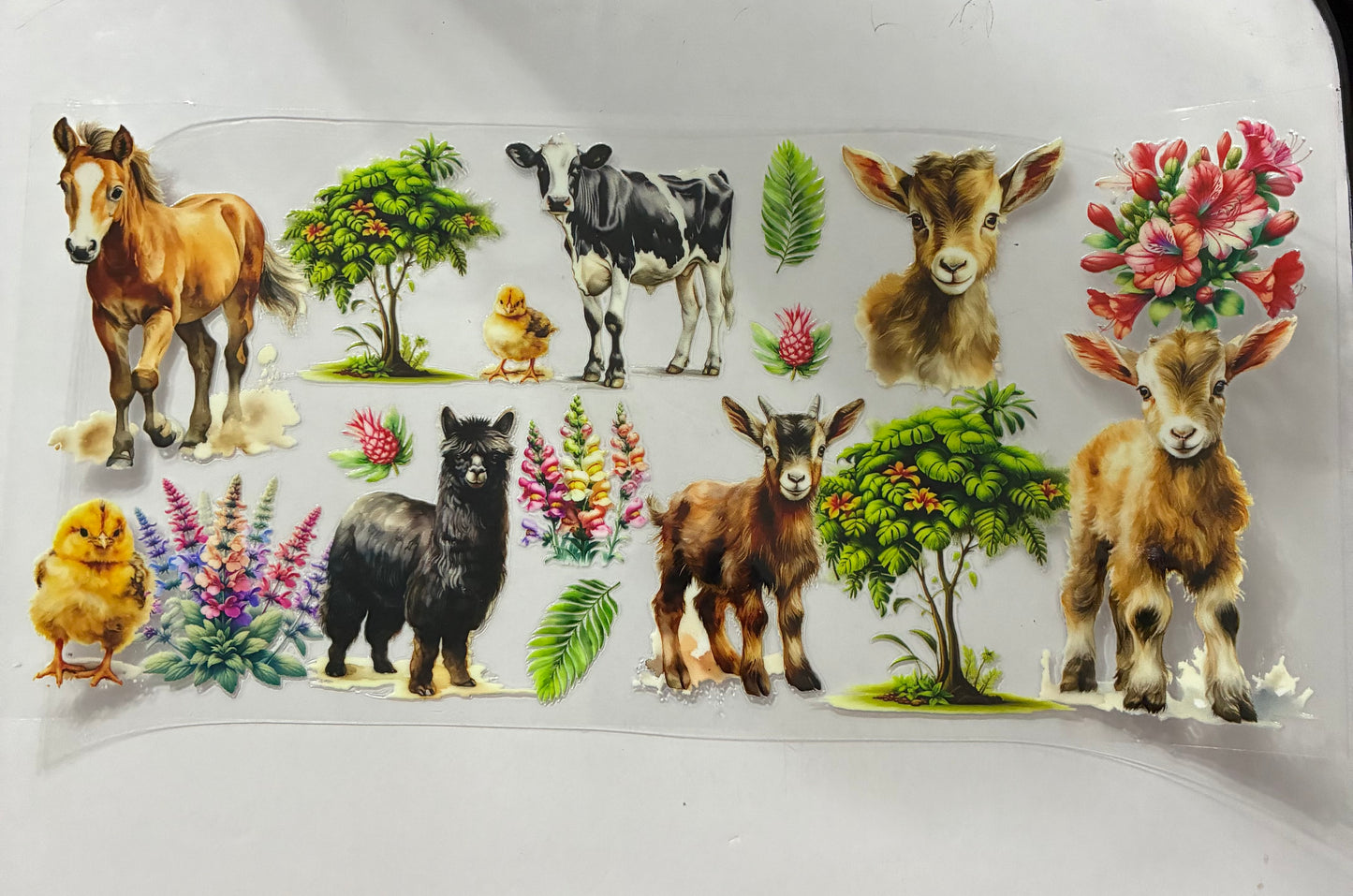 16oz Animals Cup Wrap