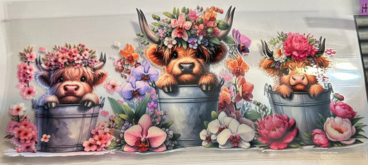 16oz Floral Cow Cup Wrap