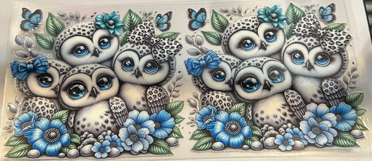 16oz Butterfly Floral Owls Cup Wrap